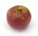 boskoop