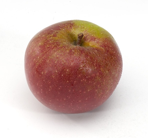 boskoop