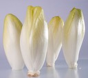 endives
