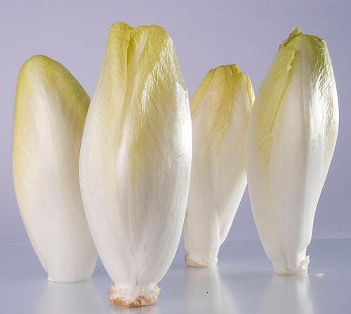 endives