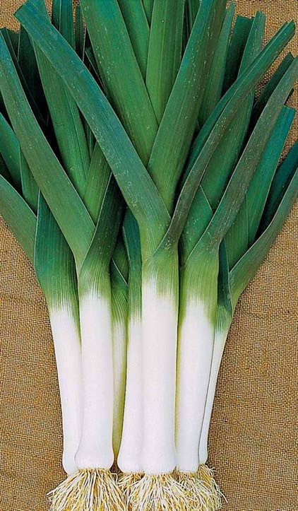 poireaux