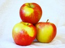 Pommes-Honeycrisp